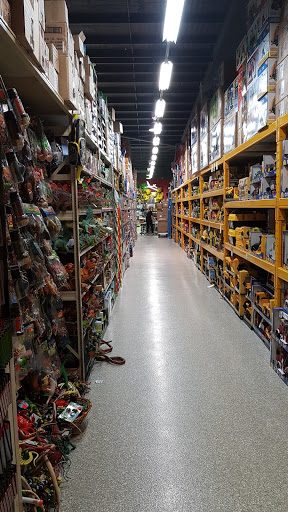 Mr Toys Toyworld Burleigh - Thumbnail