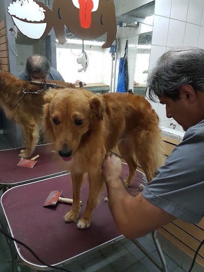 Photos of Veterinary Care Center San Marcos S.A.
