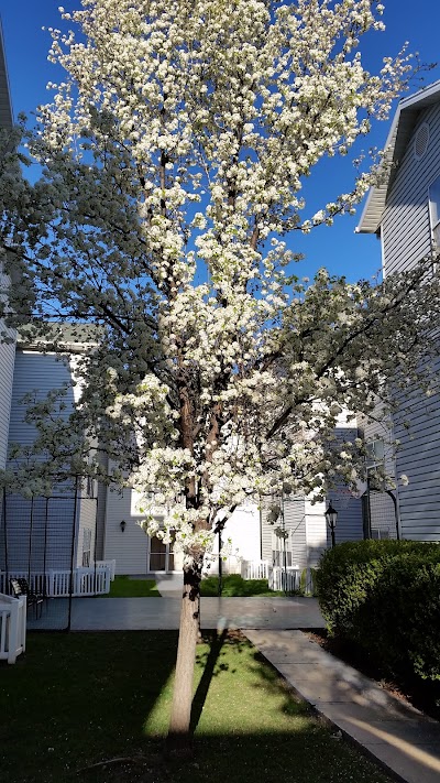 Photos of Homewood Suites by Hilton Salt Lake City-Midvale/Sandy