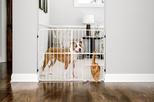 Carlson Pet Products - Thumbnail