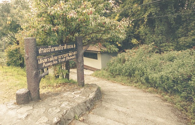 Doi Inthanon View Point