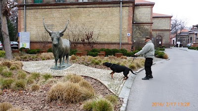 Photos of University of Veterinary Medicine
