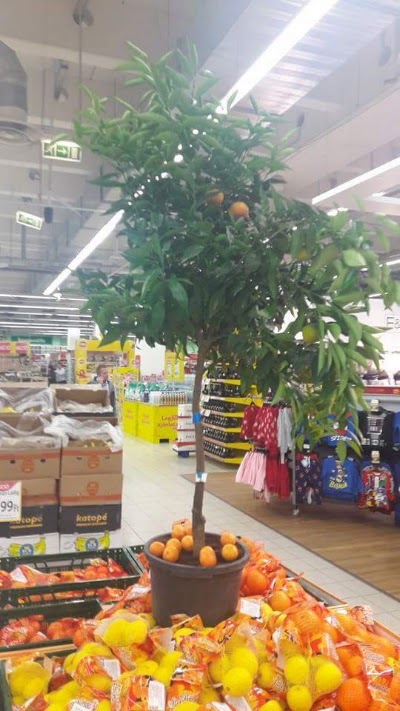 Photos of Tesco Hipermarket