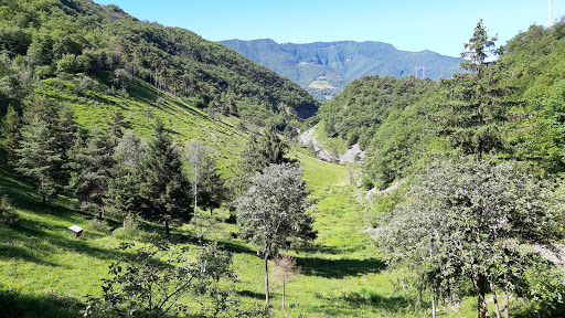 Riserva Naturale della Valle del Freddo