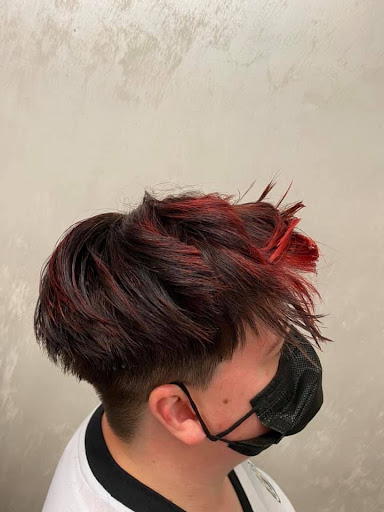 Avo Creating Style - Thumbnail
