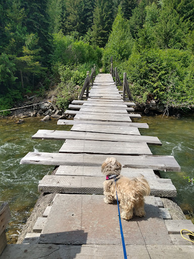 Downton Creek Plank Bridge Gallery - Canada