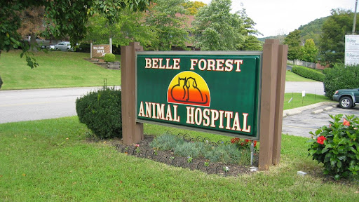 Belle Forest Animal Hospital
