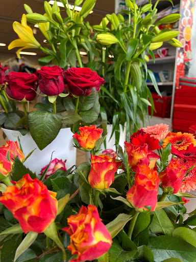 HH Blumen und Pflanzen - Thumbnail