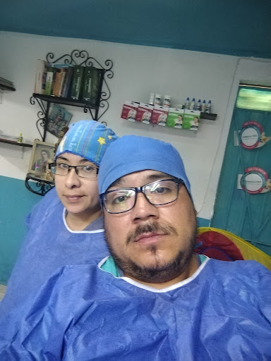 filly vet consultorio veterinario - Thumbnail