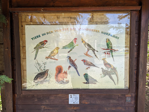 Vogelvolieren im Kur Park