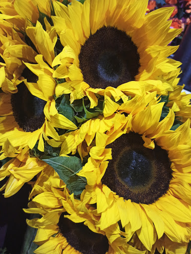 Deleite Floral - Thumbnail