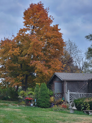 Plaza Acres Mobile Home Park - Thumbnail