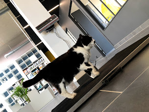 Photo n°8 de Clinique Vétérinaire Vet'Ouest à Laxou (Clinique vétérinaire)