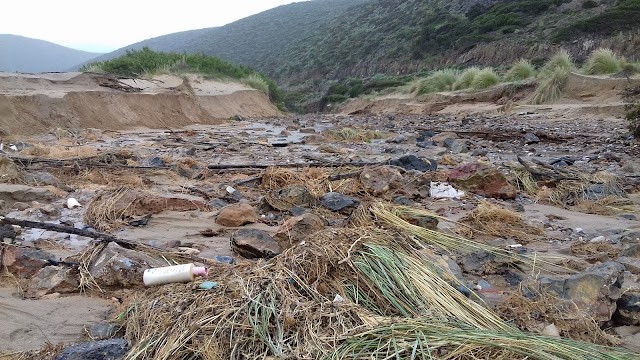 Spiaggia di Cala Domestica