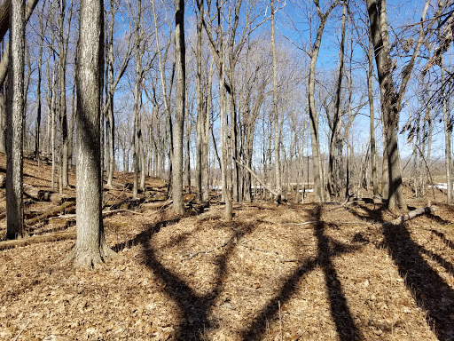 UWM Field Station