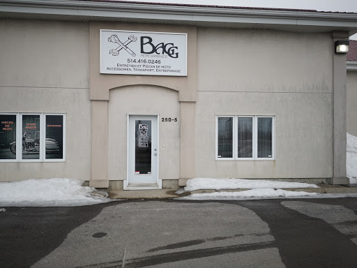 Bagg Performance - Visual