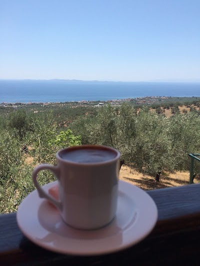 Photos of Serinyer Cafe & Restaurant