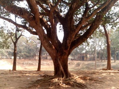 Photos of Badarganj Upazila Parishad