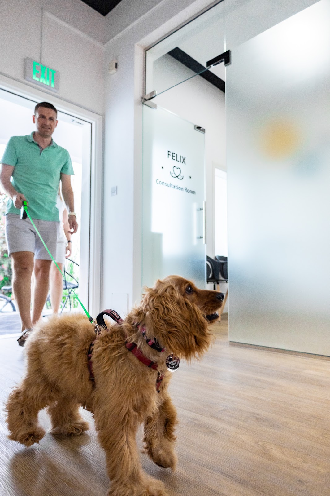 VETS & PETS Dubai - Italian Veterinary Clinic - صورة 3