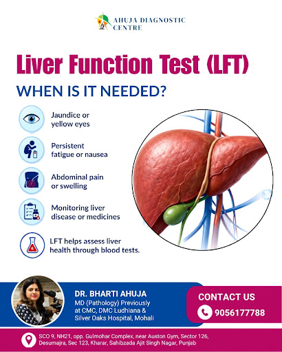Liver Function Test (LFT): When Is It Needed? post image