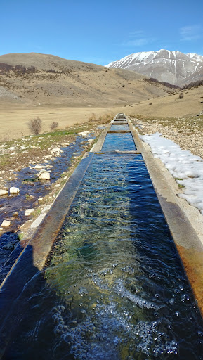 Fonte del Vescovo