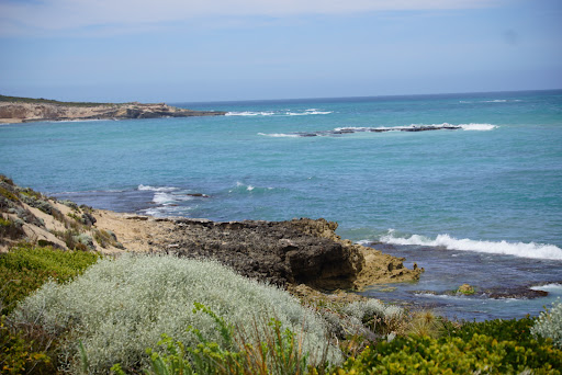 Beachport Conservation Park Gallery - Australia