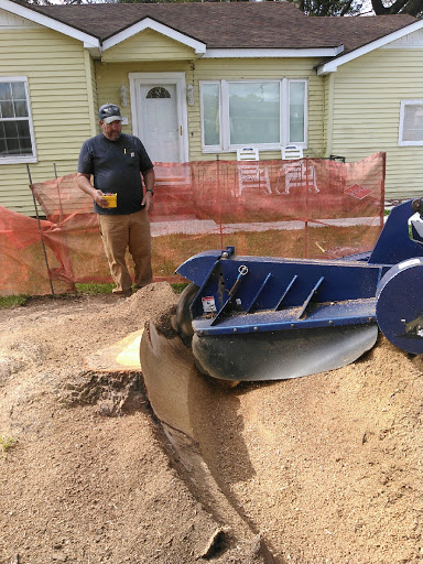 DDT INC. Stump Removal