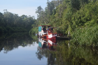 photo of Alesa Tours Borneo