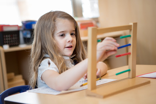 Macomb Montessori Academy- Tuition Free ( Public School) - Thumbnail