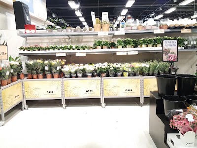 Photos of f&oslash;tex Venusvej