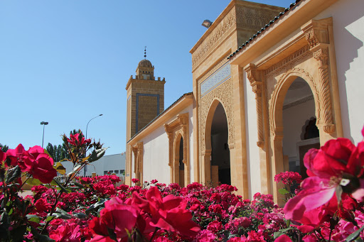 Great Mosque Mohammed VI Saint-Etienne