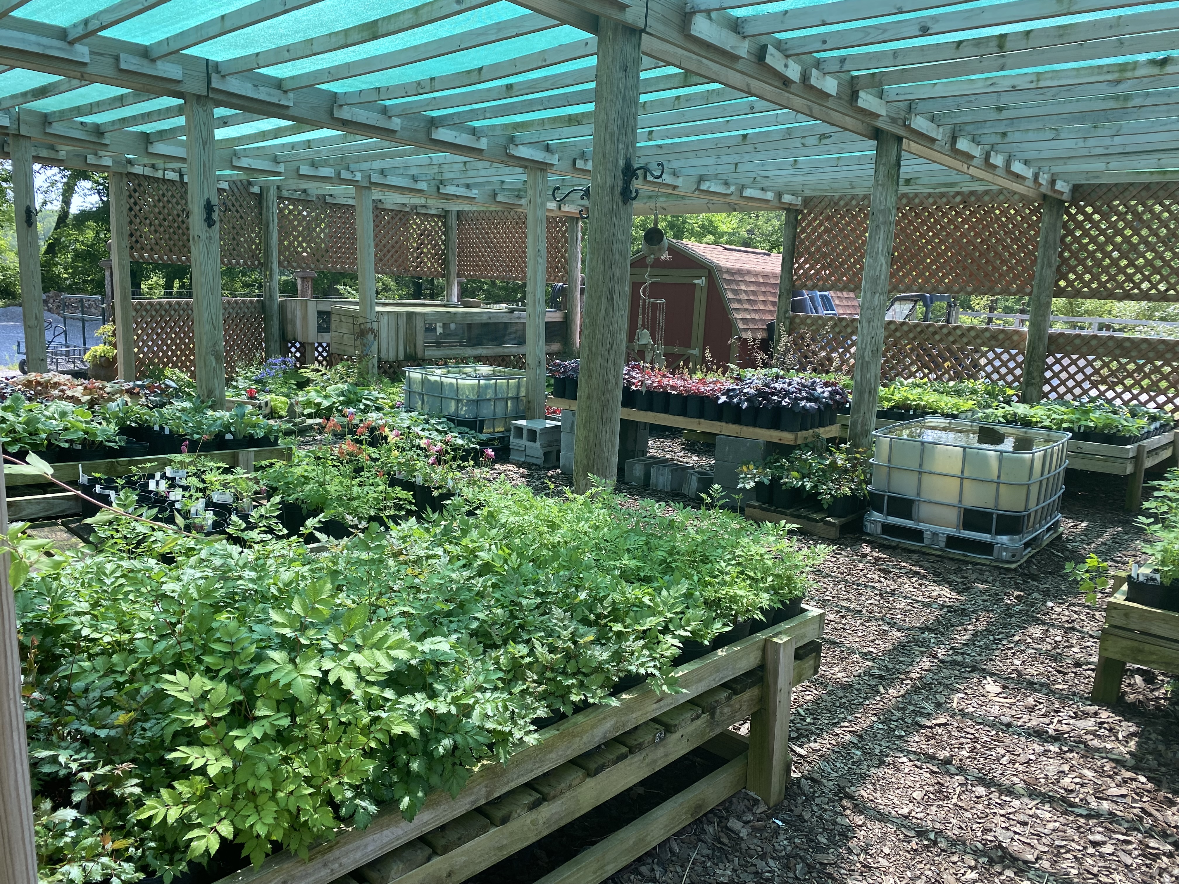 Back In Thyme Gardens & Culinary Center, LLC