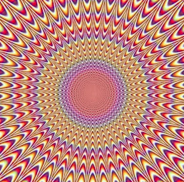 Photo n°18 de Association Je Pilote Ma Vie à Saint-Amand-Longpré (Centre de coaching)