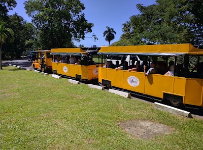 Photos of Dominica Botanic Gardens