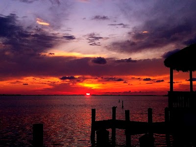 Photos of Pineland Marina