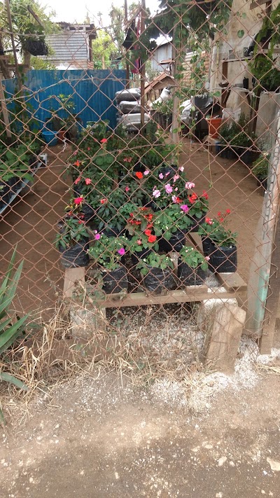 Photos of Paseo