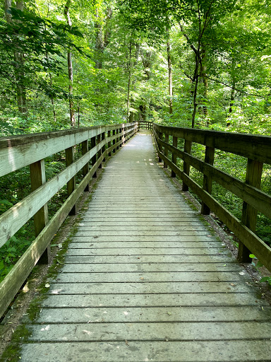 Mammoth Cave Campground - United States