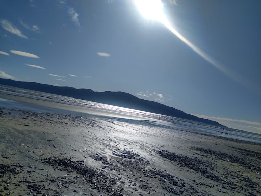 Paraparaumu Domain - Thumbnail