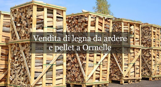 Daniel Luigino - Thumbnail