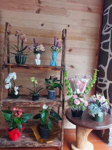 Atara Gallery - Mexico