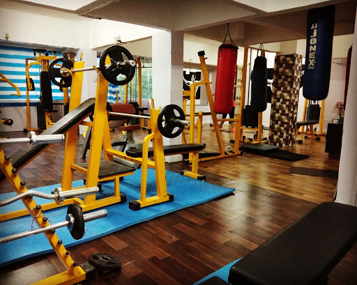 Diamond Gym Equipments Showroom Gujarat India