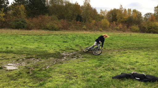 Ditton Quarry - Visual