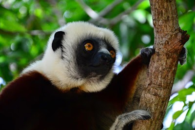 Photos of Detours Madagascar | L'instinct Voyage