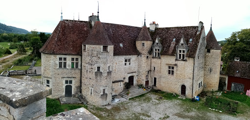 Photo de Château de DOMBLANS