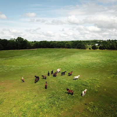 Sunshine Acres Ranch