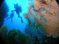 アトリエラウト