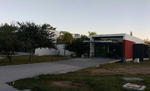 TecNM - Campus Lerdo - Visual