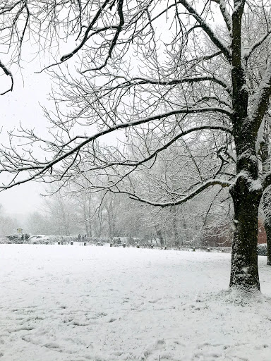 Willowbrook Water Eaton Road Gallery - United Kingdom