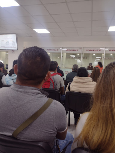 Pasaportes - Visual