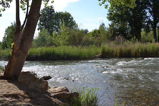 Fluvial Rio Turia